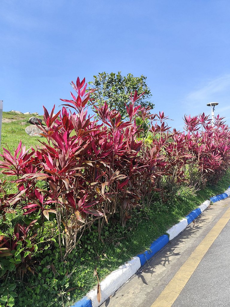 praia do tombo pé na areia do guarujá bandeira azul